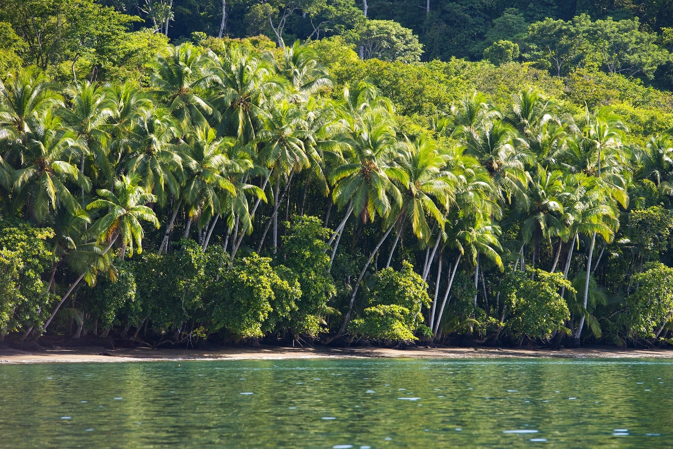 6 Ways Costa Rica is Leading Ecotourism