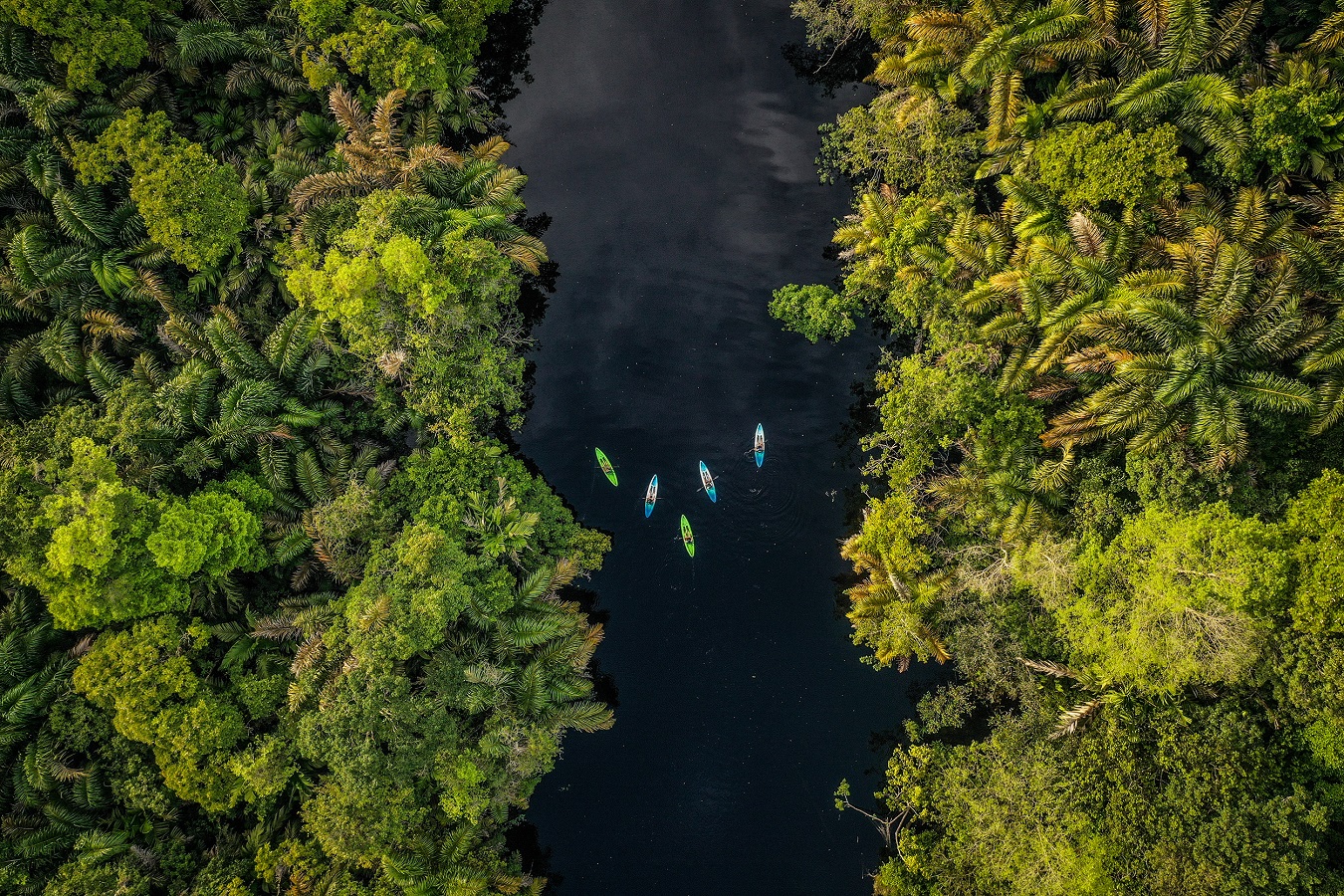 Top Costa Rica Adventure Tours For Active Travelers