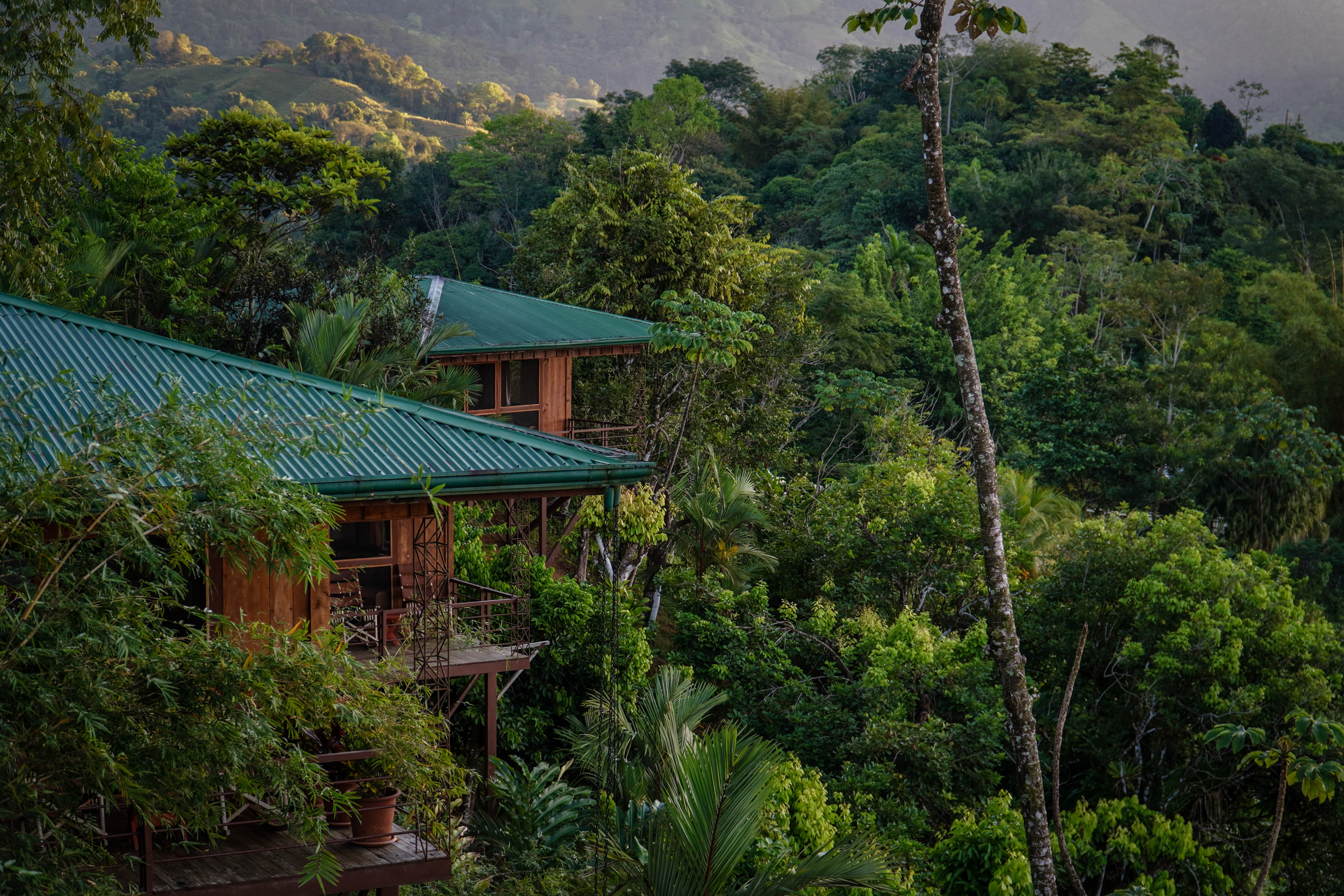 4 Best Bed and Breakfasts in Costa Rica