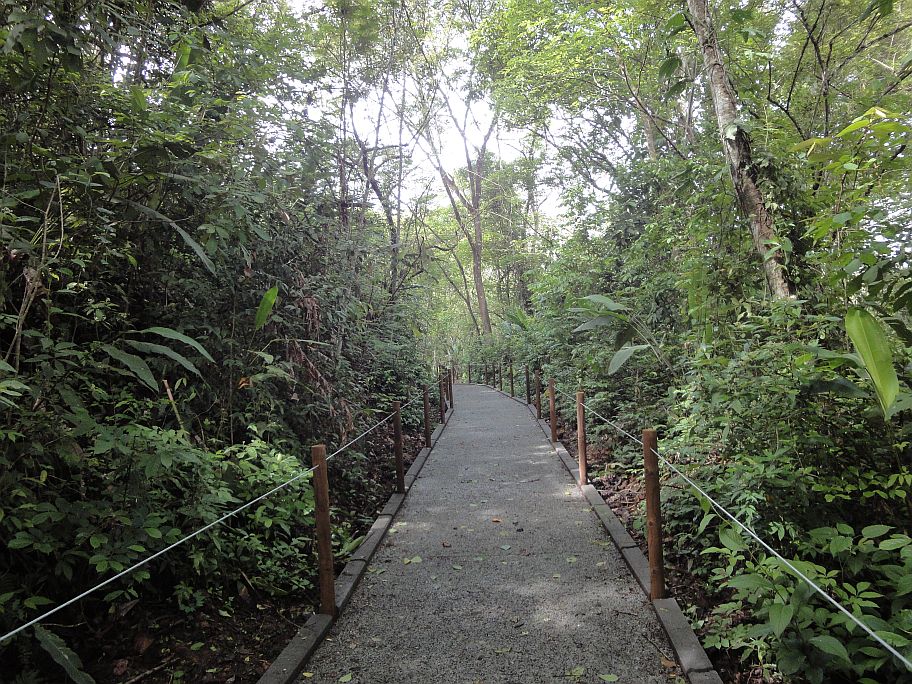 Carara National Park Guide Universal Trail