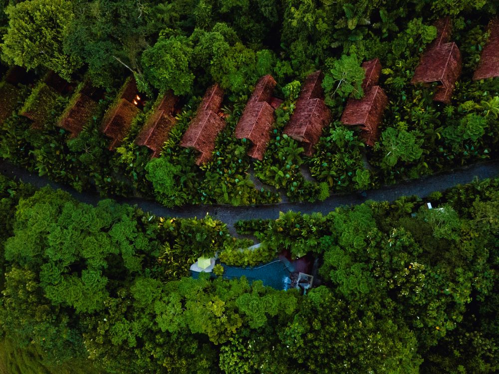 Hottest New Hotel Openings in Costa Rica Amor Arenal