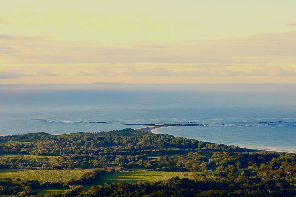Marino Ballena National Park Guide Guided Tours