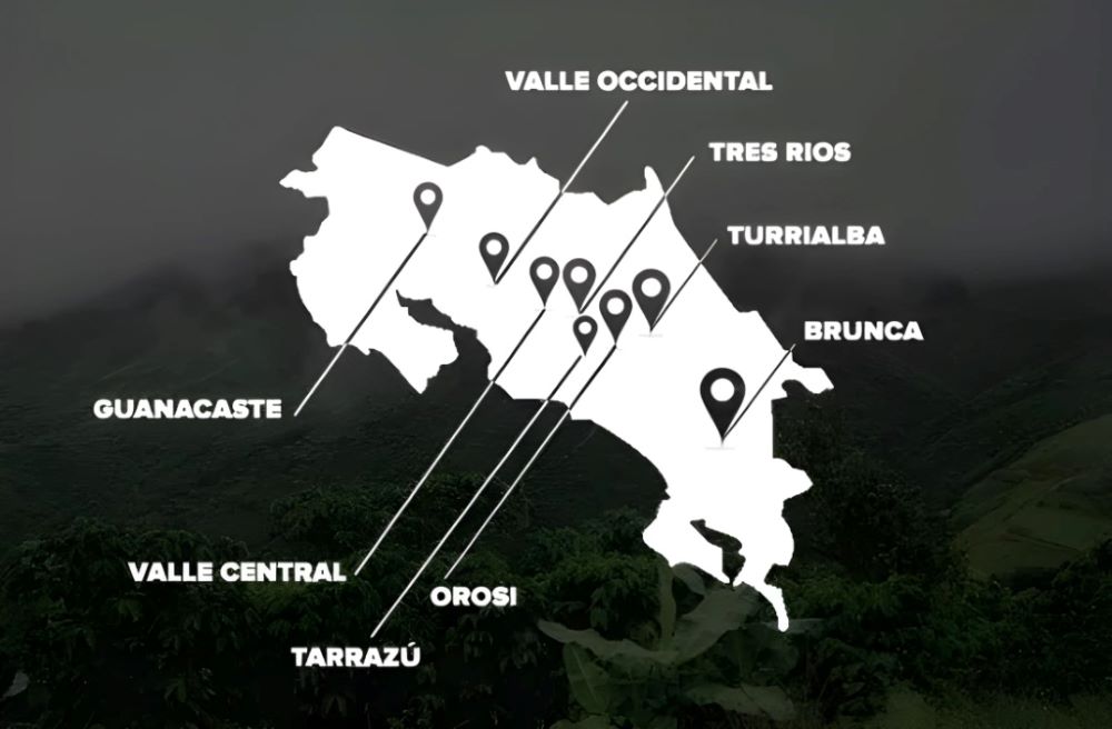 Costa Rica Coffee Why It's Best & Where To Buy It Map