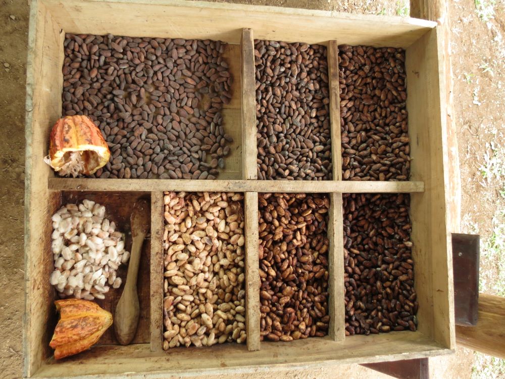 10 Costa Rica Must-Do Bucket List Experiences Chocolate Tour