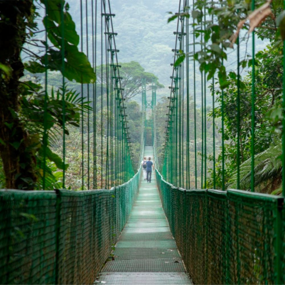 10 Costa Rica Must-Do Bucket List Experiences Cloud Forest