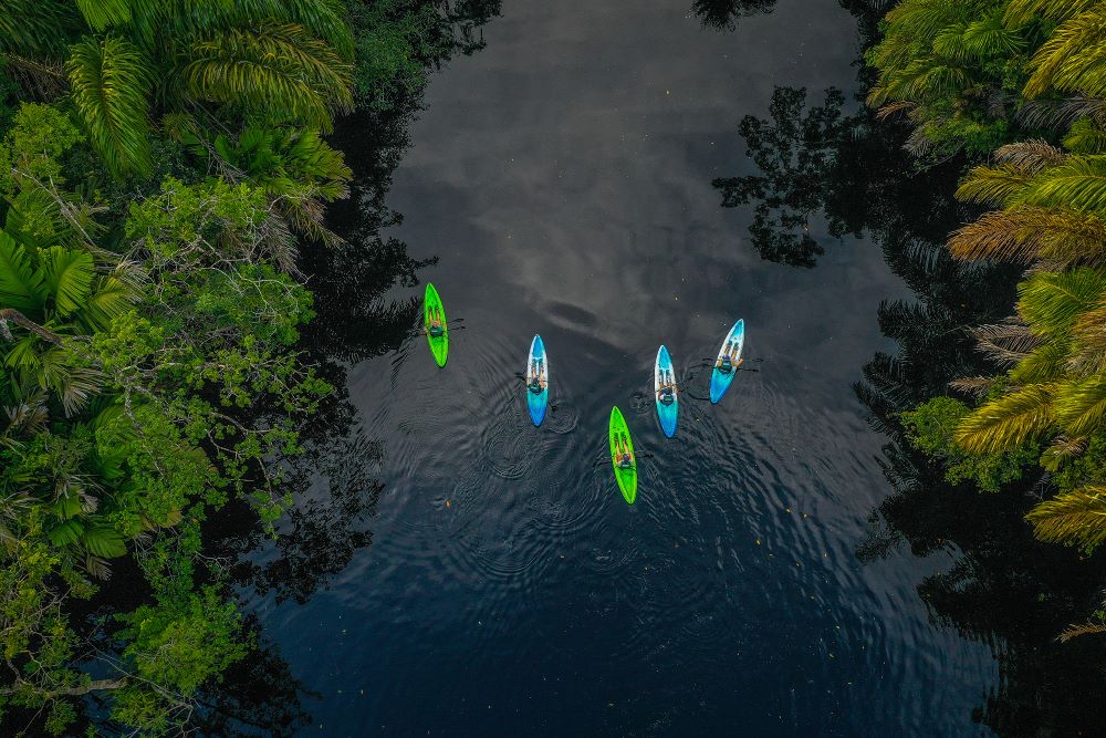 10 Costa Rica Must-Do Bucket List Experiences Mangrove