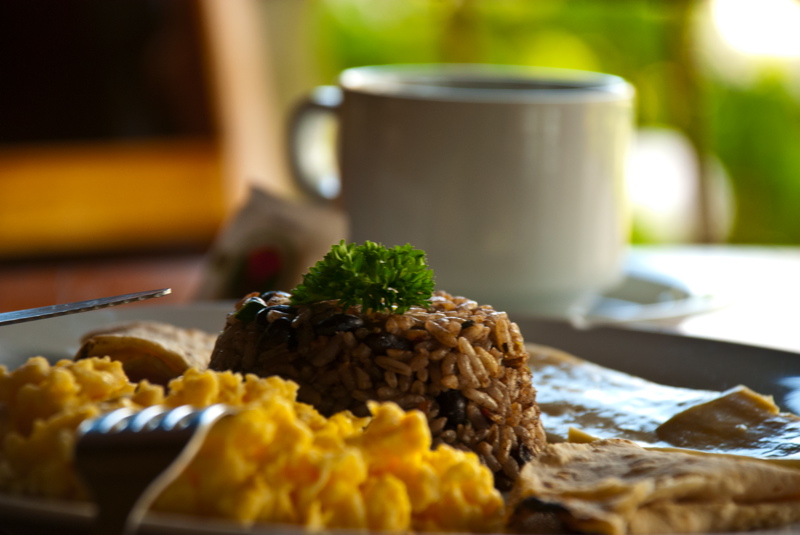 7 Traditional Costa Rican Food Staples You Must Try Gallo Pinto