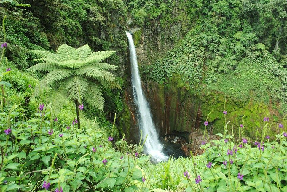 Bajos del Toro Waterfall Hike Guide Waterfall