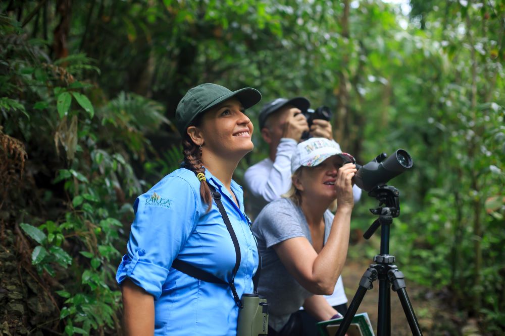 6 Costa Rica Holiday Travel Tips Private Birdwatching ADM