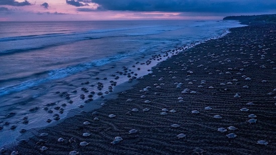 8 Costa Rica Natural Mysteries You Have to See to Believe