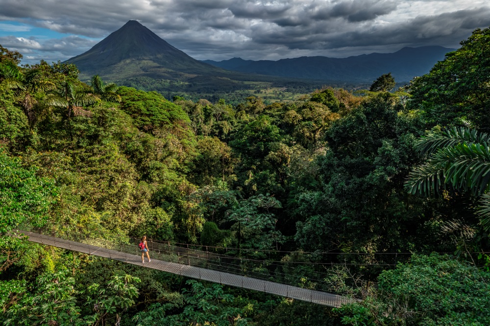 Costa Rica Rainy Season Guide Hanging Bridges
