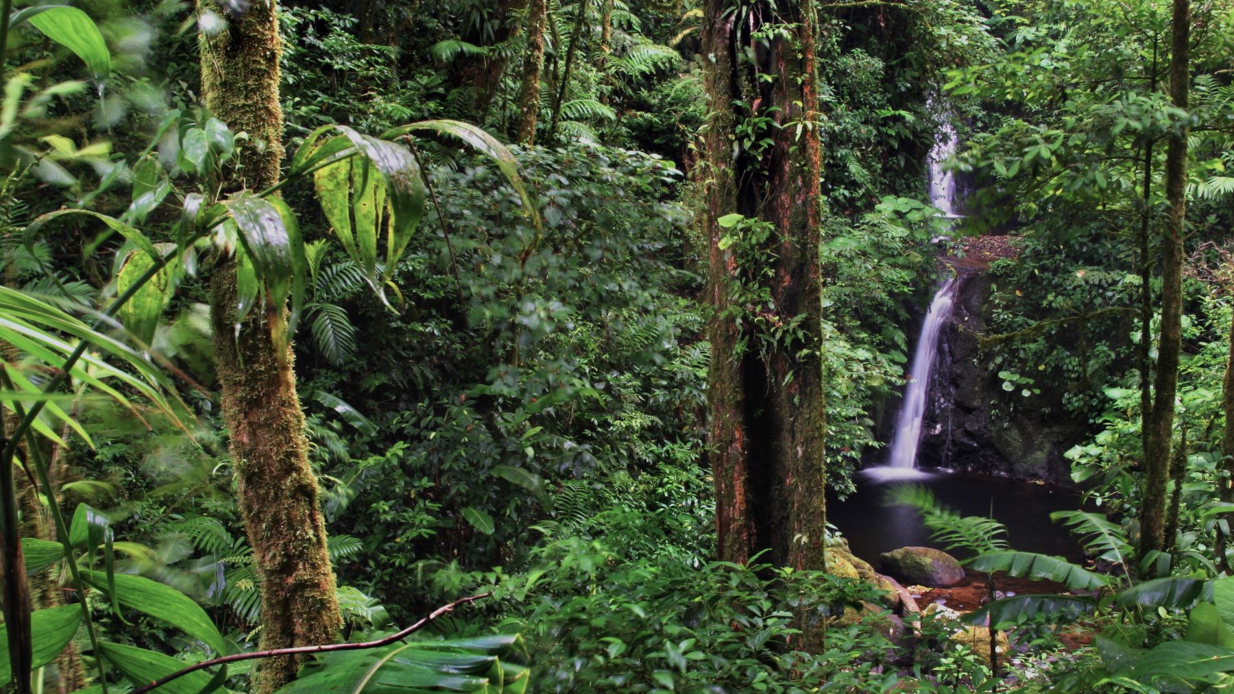 Costa Rica Rainy Season Guide: Why & When To Visit
