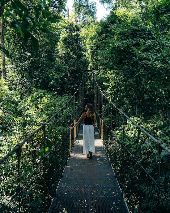 How To See More Wildlife in Costa Rica