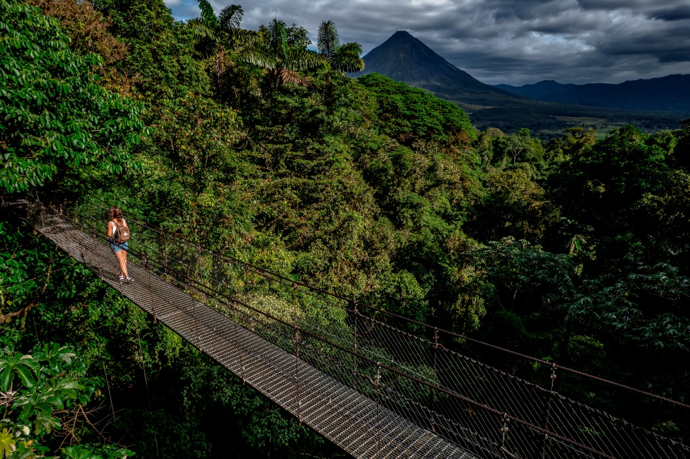 How to See The Most Wildlife in Costa Rica HB Mistico