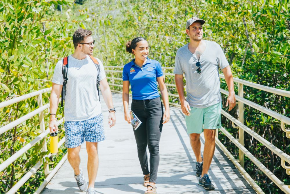 How to See The Most Wildlife in Costa Rica Private MA