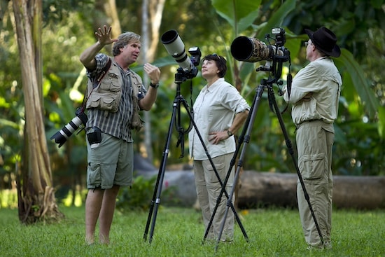 See more Costa Rica animals with an Expert Tour Guide