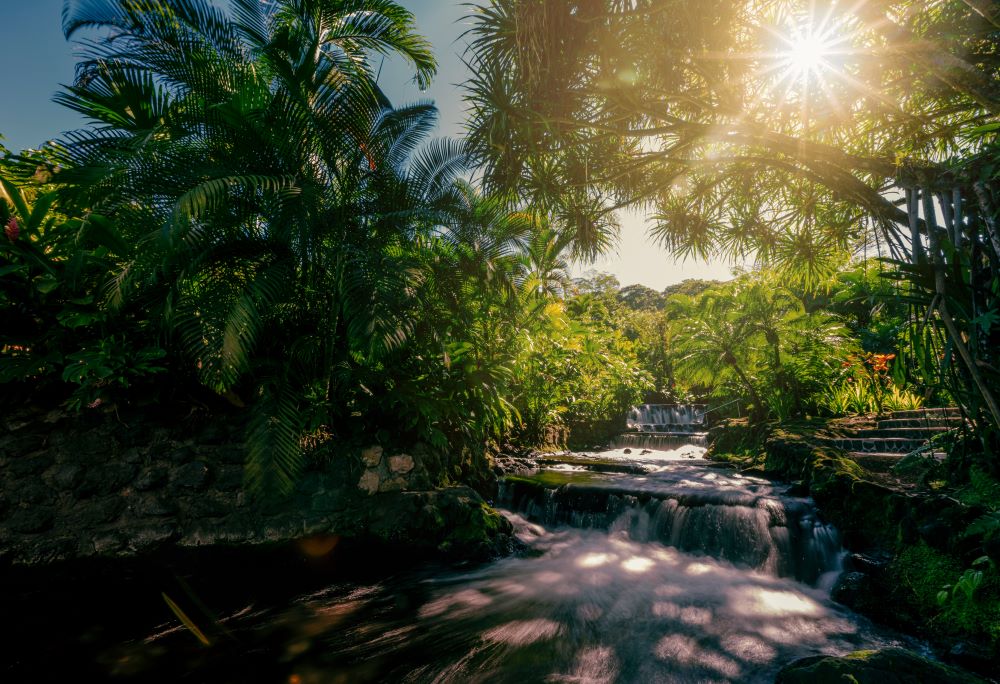BEST Family Resorts in Costa Rica Tabacon