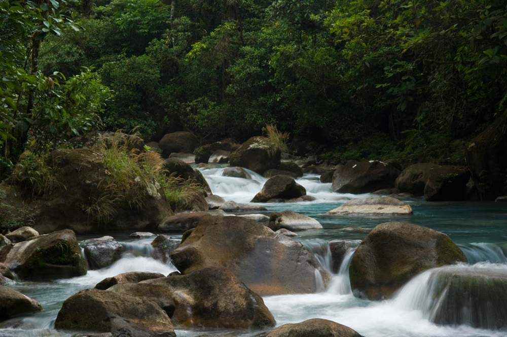 Rio Celeste Waterfall & Tenorio Volcano National Park Guide Rapids