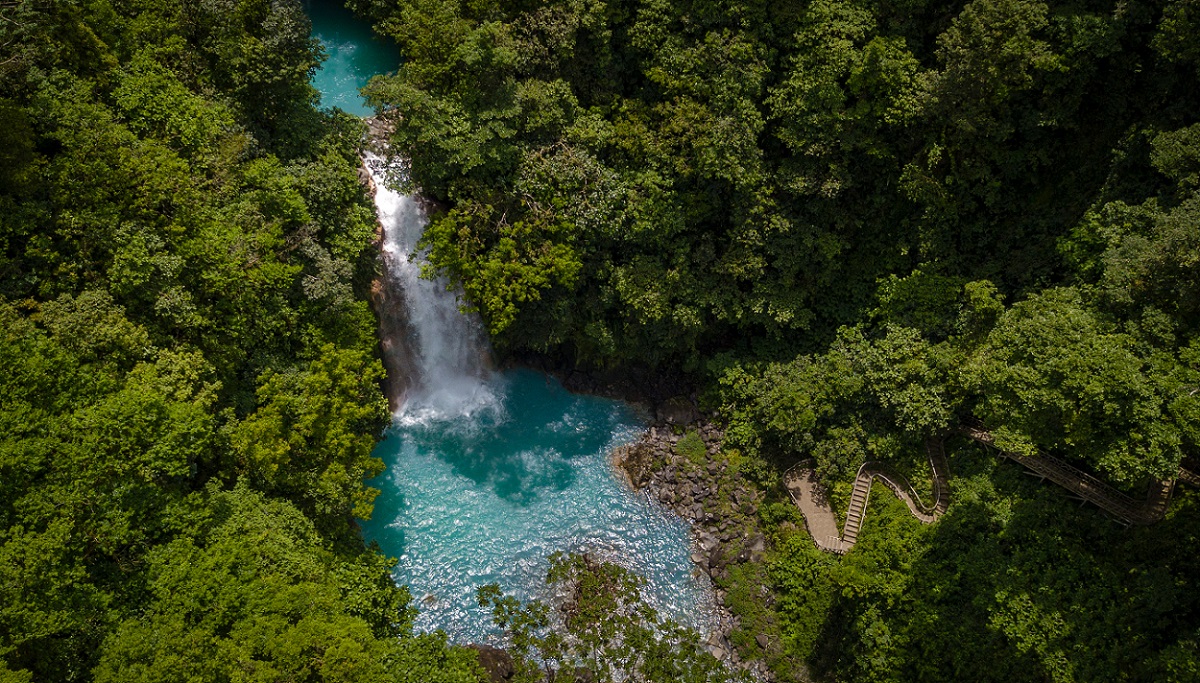 Rio Celeste Waterfall & Tenorio Volcano National Park Guide