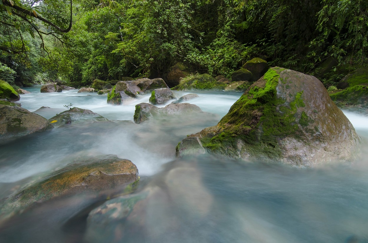 Rio Celeste Waterfall & Tenorio Volcano National Park