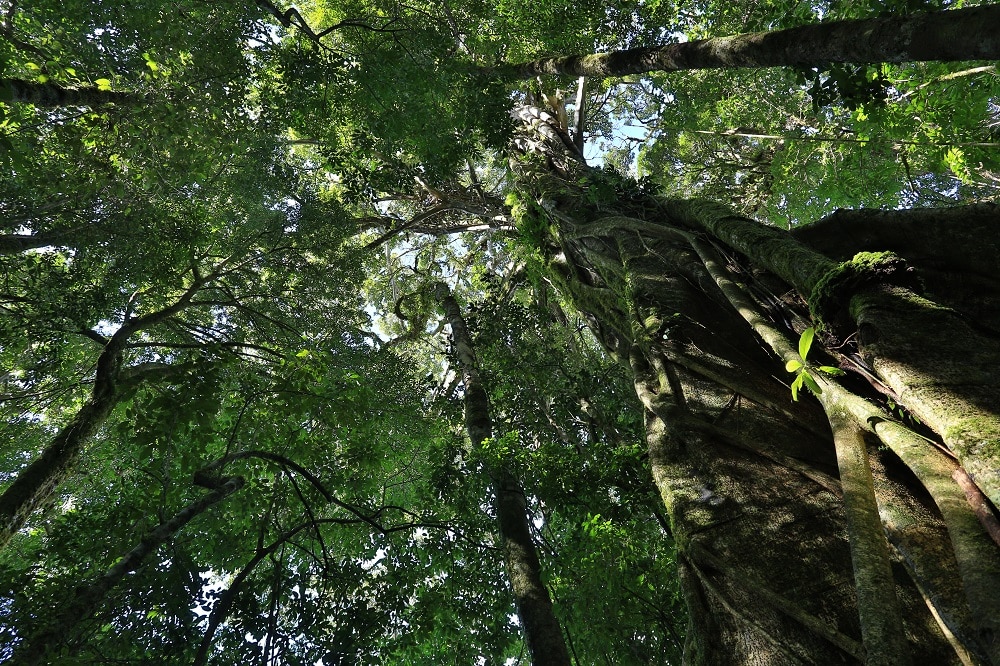 Exploring Costa Rica in August Monteverde