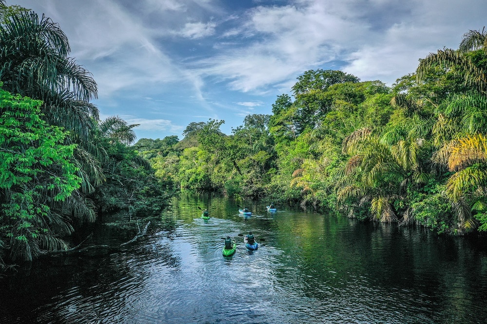 Exploring Costa Rica in August Tortuguero Kayaking