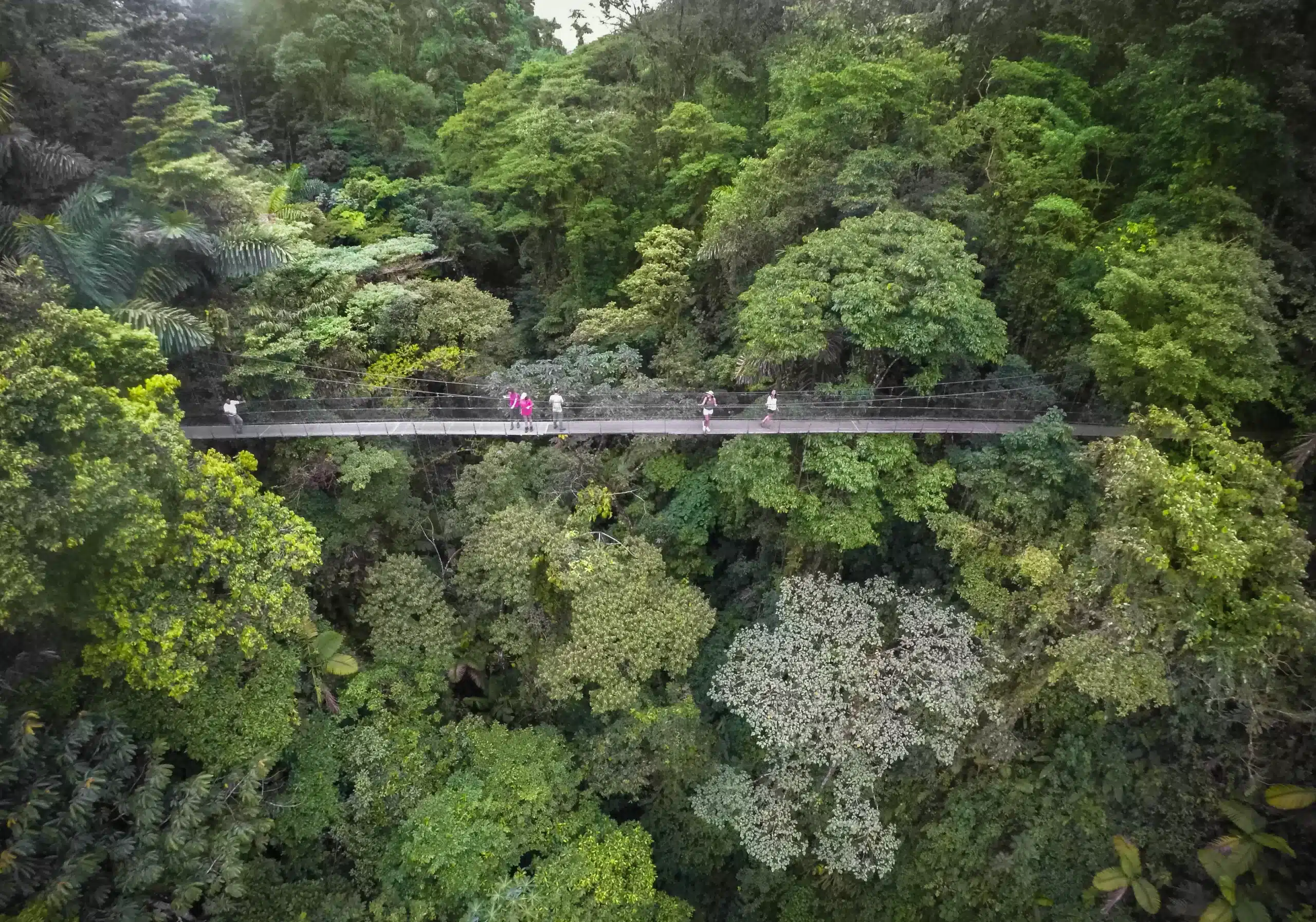 Arenal Hanging Bridges Hike