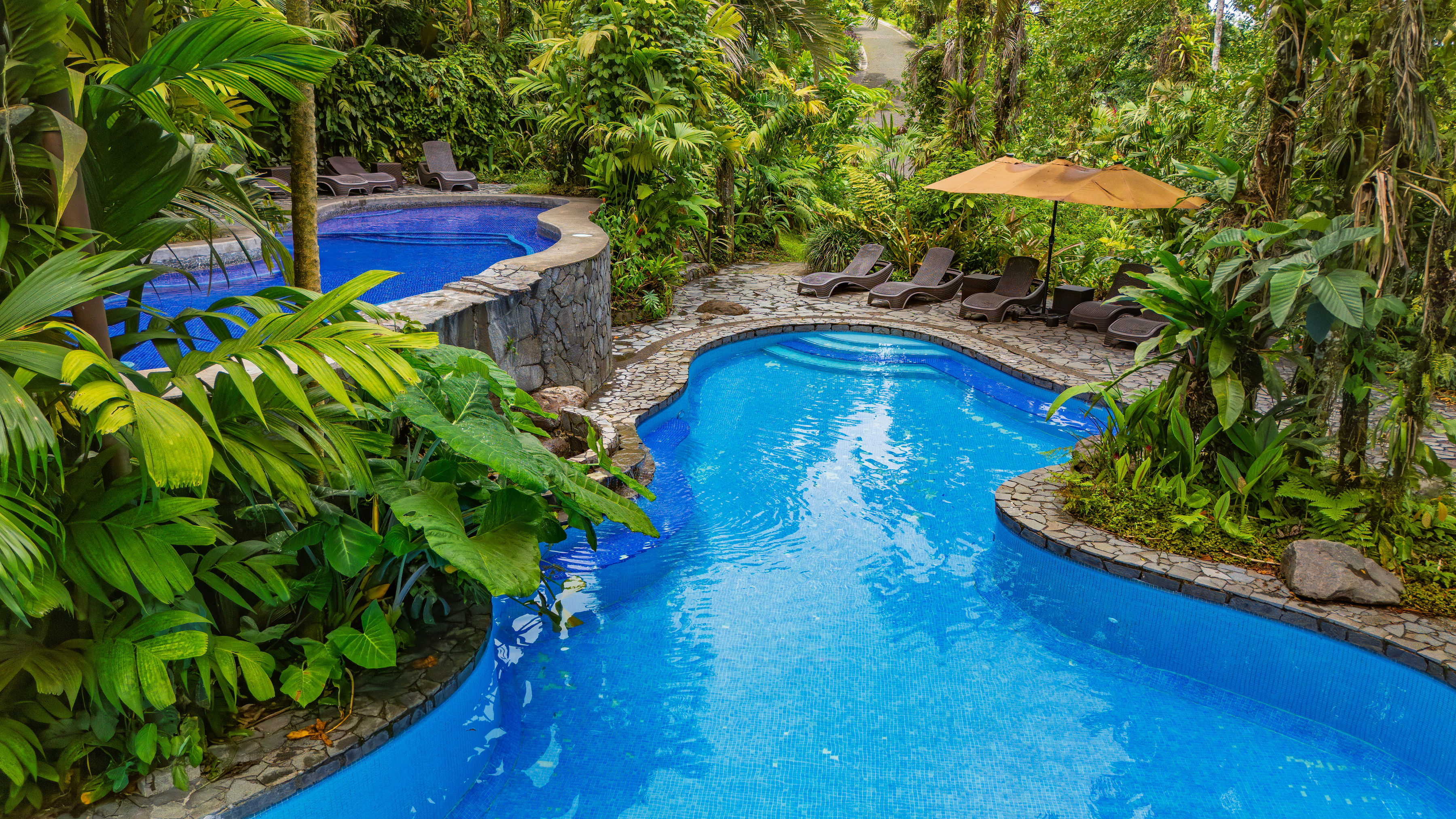 Lost Iguana Resort