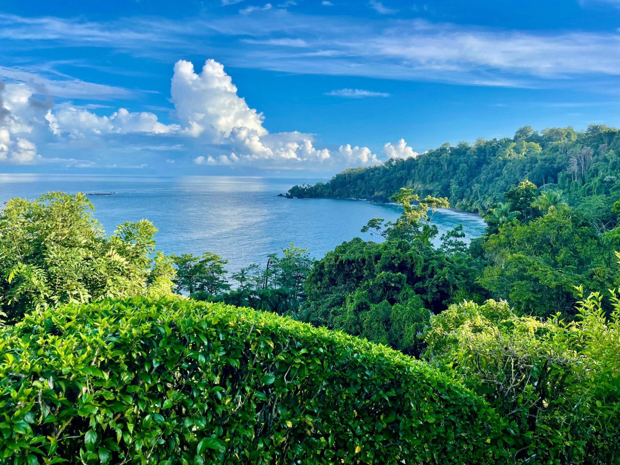 SCP Corcovado Wilderness Lodge Coastline