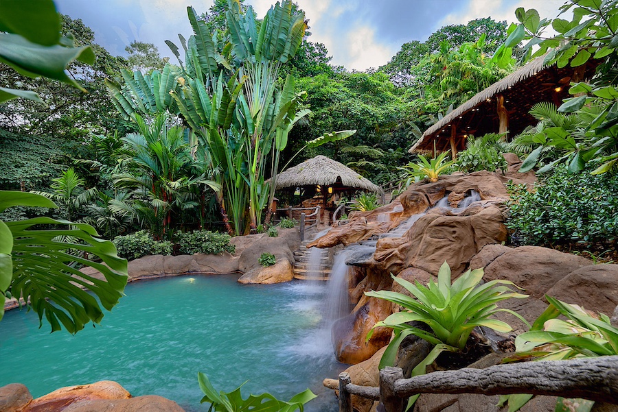 The Springs Resort hot springs Los Perdidos & Los Palos Bars