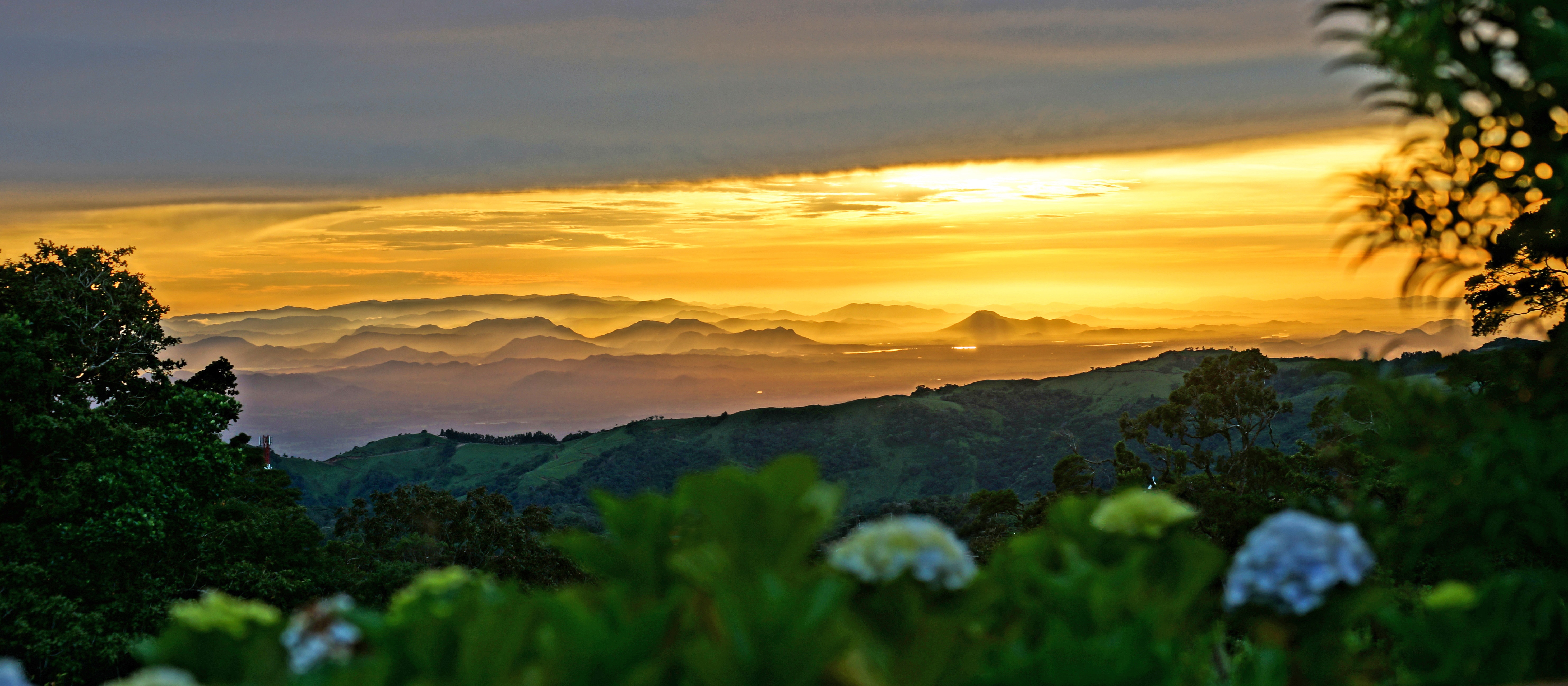 Best Monteverde Hotels & Lodges
