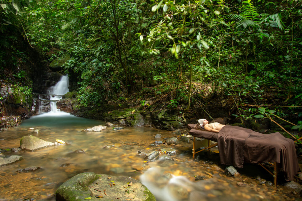 Oxygen Jungle Villas