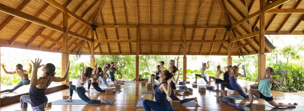 Bodhi Tree yoga Nosara