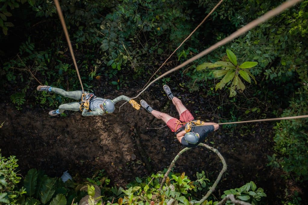 Canopy Tree Experience near Dominical