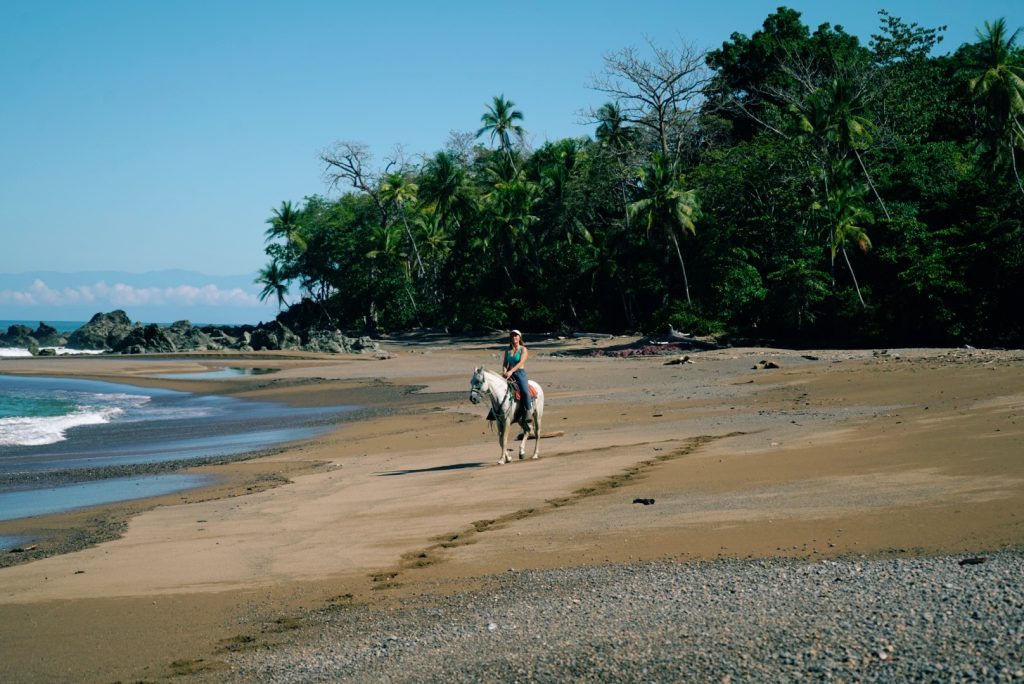 Horseback Riding Drake Bay