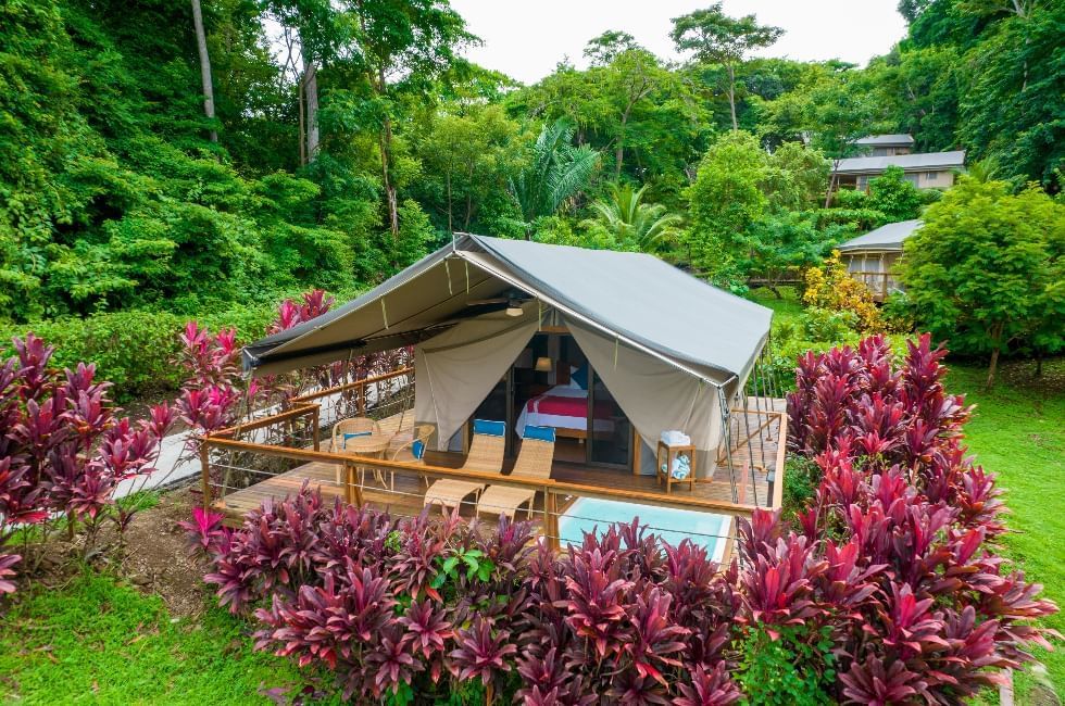 Isla Chiquita Glamping Resort near Santa Teresa