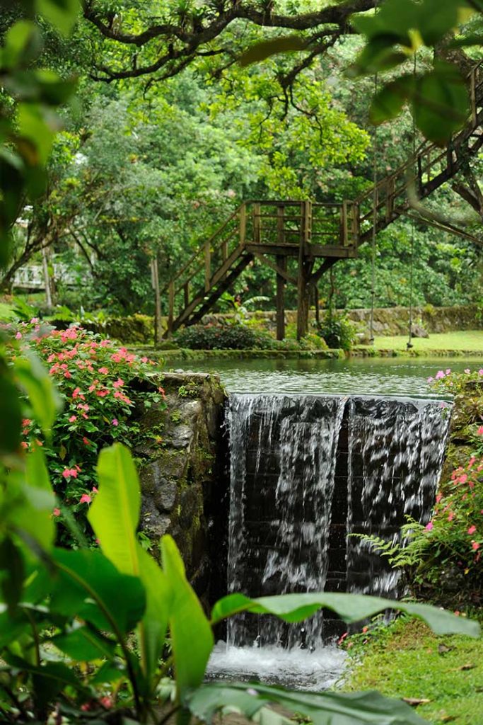 Canopy Lodge Panama