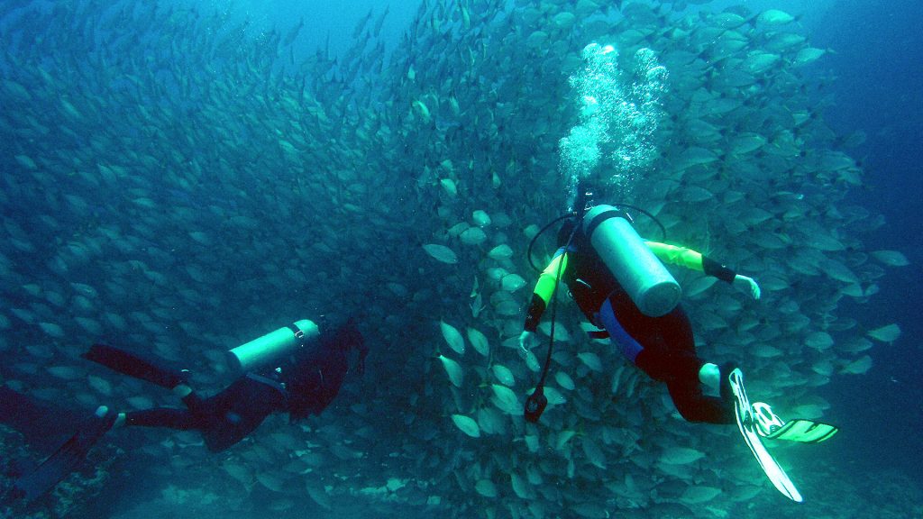Scuba Diving Drake Bay