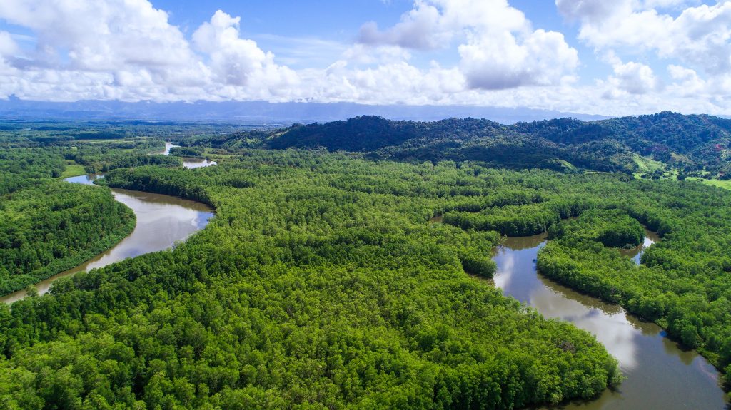 Sierpe Wetlands