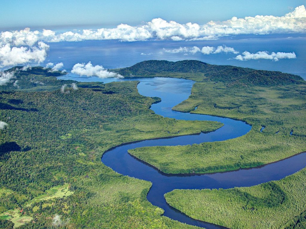 Sierpe Mangroves Osa Peninsula