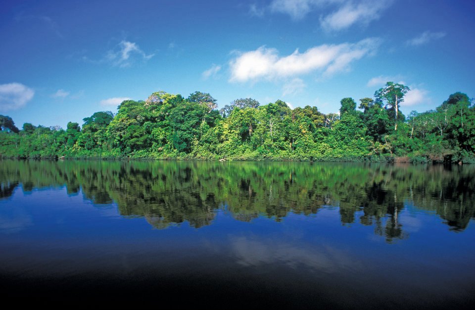 Terraba - Sierpe National Wetlands near Drake Bay