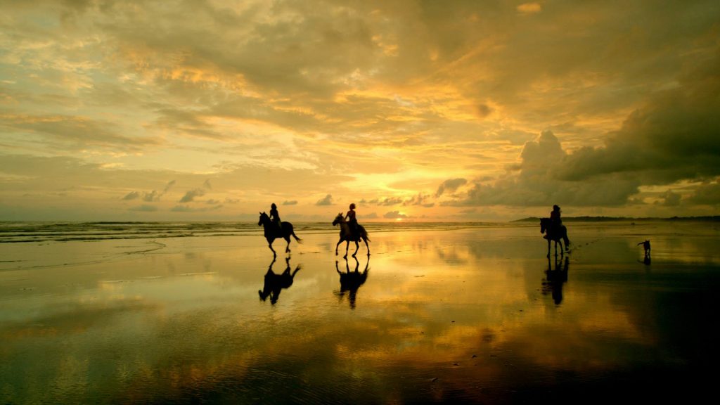 Horseback Riding Santa Teresa