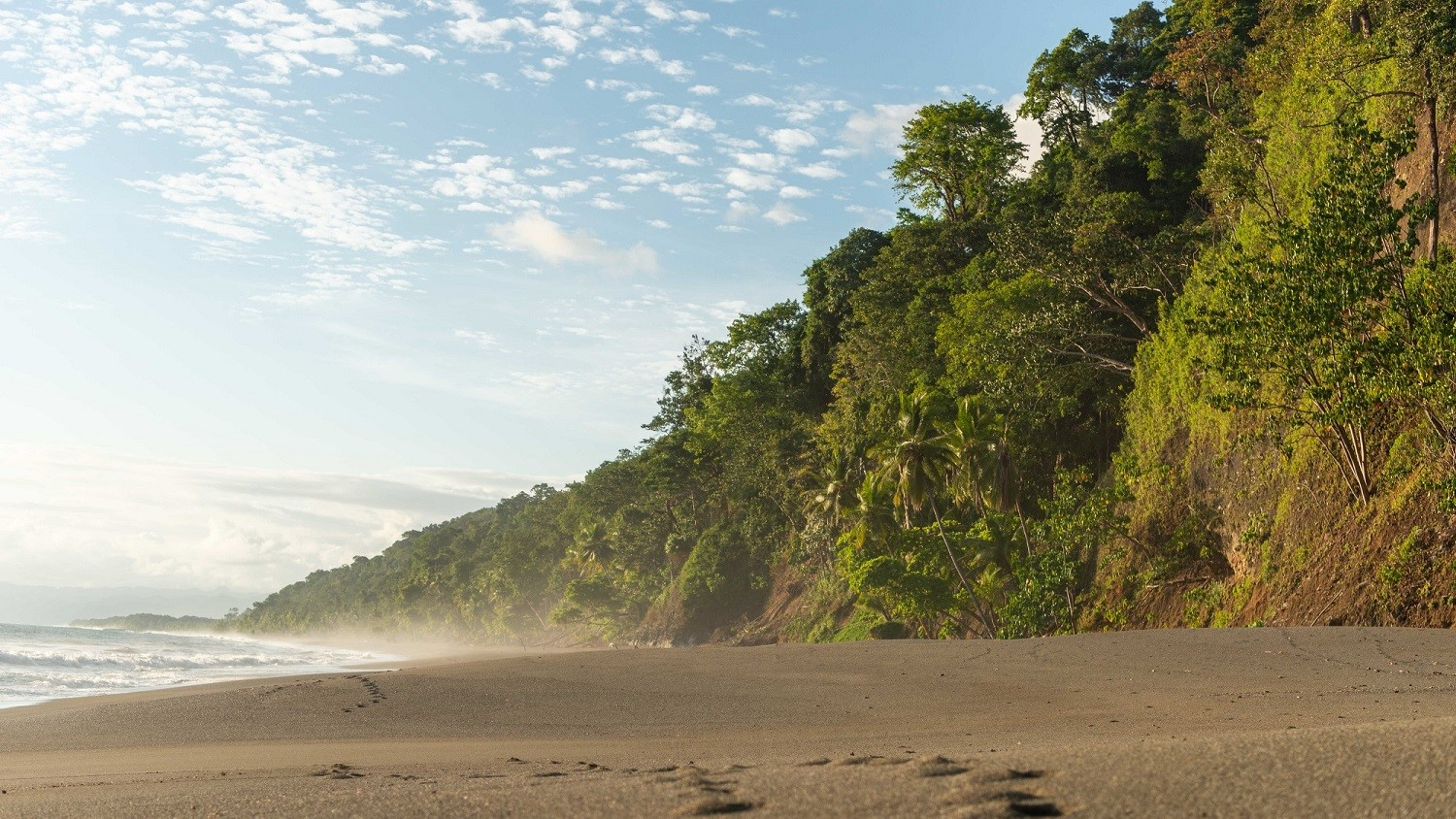 Corcovado National Park