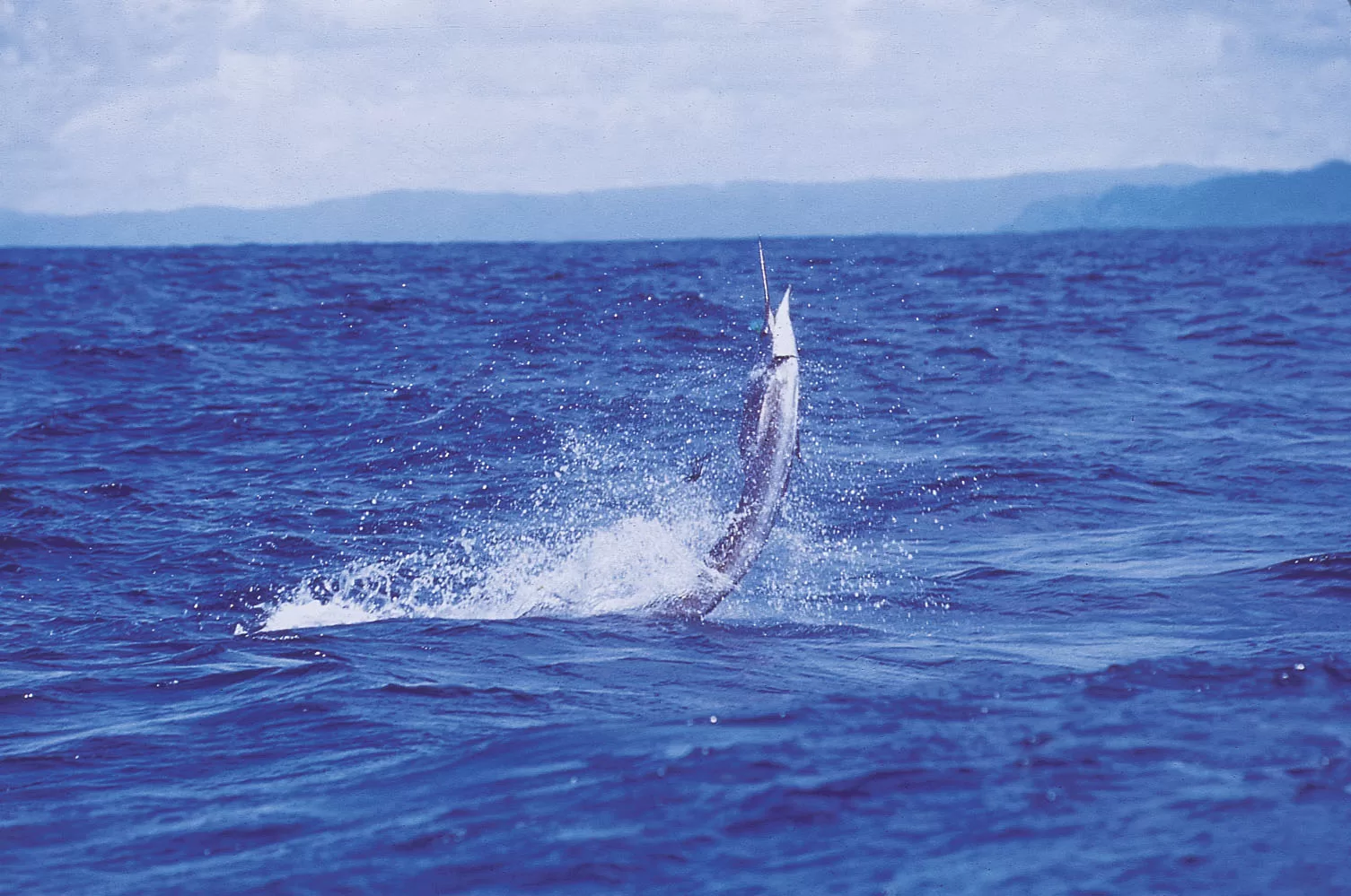 Best Places for Deep Sea & Inshore Fishing in Costa Rica