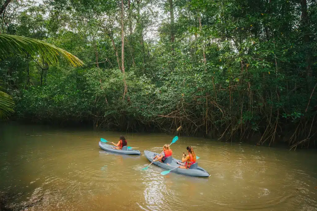 Costa Rica Kayaking Damas