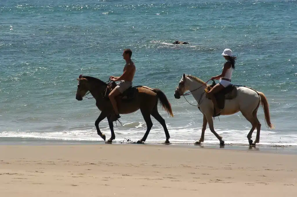 Guanacaste Horseback Riding