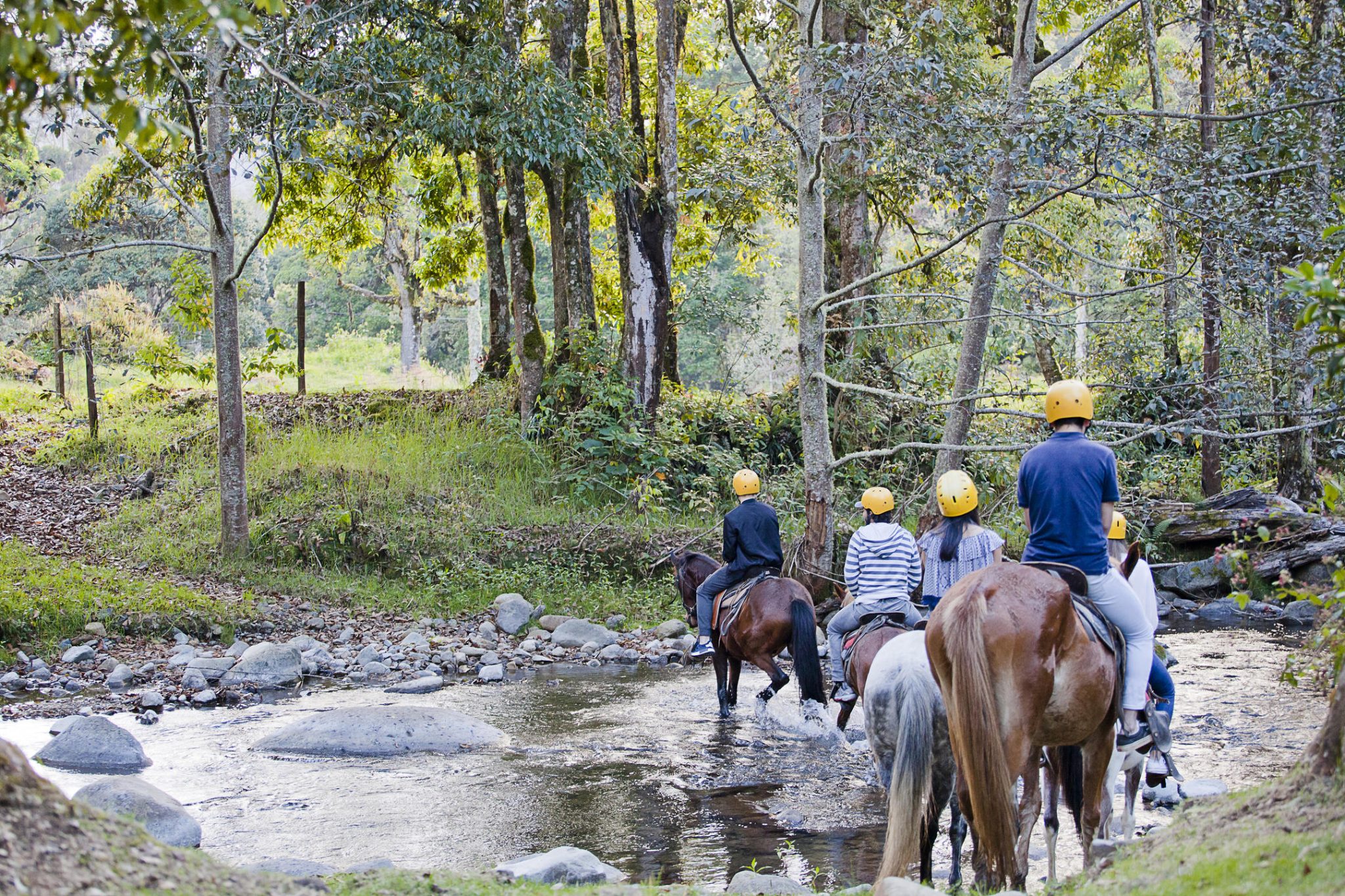 Horseback Riding at Savegre Hotel