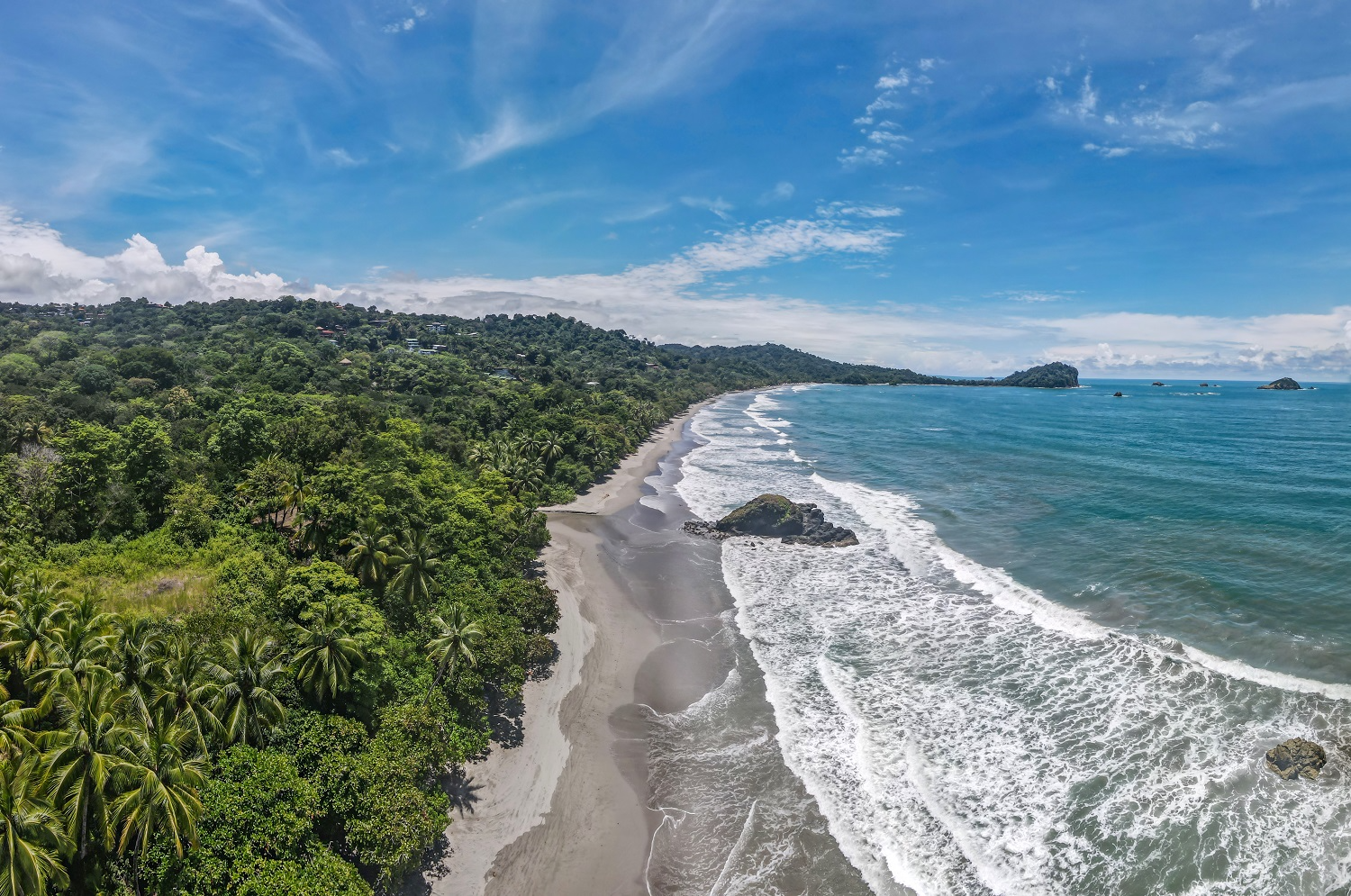 Manuel Antonio National Park rainforest