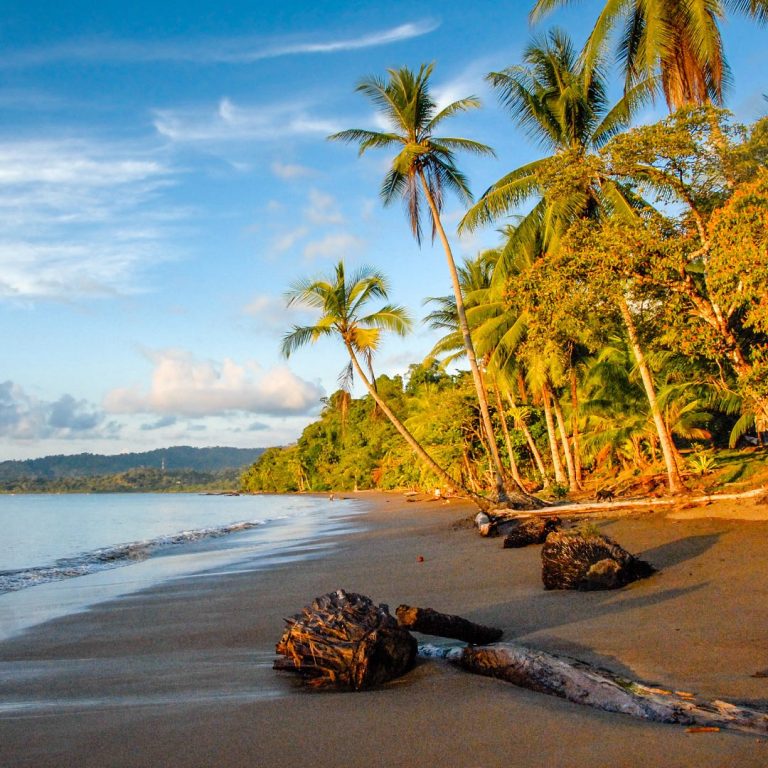 5 Best Costa Rainforest Destinations | Costa Rica Experts
