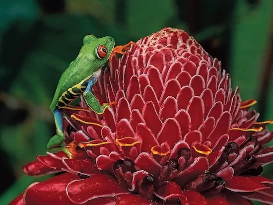 5 Misconceptions About Travel in Costa Rica